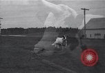 Image of unicorn Maine United States USA, 1936, second 27 stock footage video 65675038322