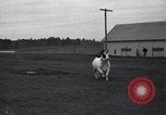 Image of unicorn Maine United States USA, 1936, second 28 stock footage video 65675038322