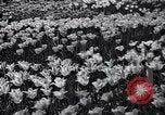 Image of dancers United States USA, 1936, second 47 stock footage video 65675038324