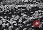 Image of dancers United States USA, 1936, second 48 stock footage video 65675038324