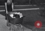 Image cat Hollywood Los Angeles California USA, 1933, de la seconde 27 séquences d'archives historiques vidéo 65675038331