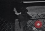 Image of Cucuta ship Philadelphia Pennsylvania USA, 1934, second 25 stock footage video 65675038335