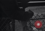 Image of Cucuta ship Philadelphia Pennsylvania USA, 1934, second 27 stock footage video 65675038335