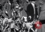 Image of hunting dogs Lexington Kentucky USA, 1934, second 13 stock footage video 65675038336