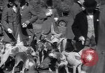 Image of hunting dogs Lexington Kentucky USA, 1934, second 14 stock footage video 65675038336