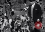 Image of hunting dogs Lexington Kentucky USA, 1934, second 15 stock footage video 65675038336