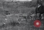 Image of hunting dogs Lexington Kentucky USA, 1934, second 35 stock footage video 65675038336