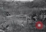Image of hunting dogs Lexington Kentucky USA, 1934, second 36 stock footage video 65675038336