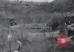 Image of hunting dogs Lexington Kentucky USA, 1934, second 37 stock footage video 65675038336