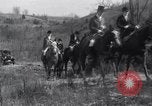 Image of hunting dogs Lexington Kentucky USA, 1934, second 40 stock footage video 65675038336