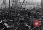 Image of Herring fish United Kingdom, 1934, second 3 stock footage video 65675038343