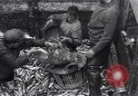 Image of Herring fish United Kingdom, 1934, second 4 stock footage video 65675038343