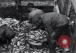 Image of Herring fish United Kingdom, 1934, second 5 stock footage video 65675038343