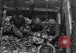 Image of Herring fish United Kingdom, 1934, second 11 stock footage video 65675038343
