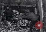 Image of Herring fish United Kingdom, 1934, second 12 stock footage video 65675038343