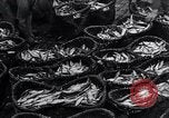 Image of Herring fish United Kingdom, 1934, second 14 stock footage video 65675038343