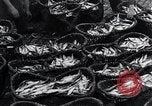 Image of Herring fish United Kingdom, 1934, second 15 stock footage video 65675038343