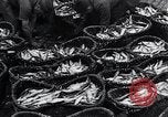 Image of Herring fish United Kingdom, 1934, second 16 stock footage video 65675038343