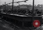 Image of Herring fish United Kingdom, 1934, second 21 stock footage video 65675038343