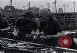 Image of Herring fish United Kingdom, 1934, second 23 stock footage video 65675038343