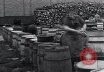 Image of Herring fish United Kingdom, 1934, second 24 stock footage video 65675038343