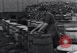 Image of Herring fish United Kingdom, 1934, second 25 stock footage video 65675038343