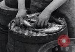 Image of Herring fish United Kingdom, 1934, second 27 stock footage video 65675038343