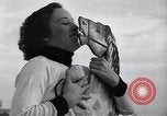 Image of hobby horse race Santa Monica California USA, 1934, second 31 stock footage video 65675038344