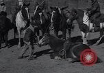 Image of kids Kansas City Kansas USA, 1934, second 27 stock footage video 65675038345