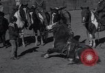 Image of kids Kansas City Kansas USA, 1934, second 30 stock footage video 65675038345