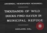 Image of honker ducks Oakland California USA, 1931, second 1 stock footage video 65675038349