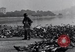 Image of honker ducks Oakland California USA, 1931, second 3 stock footage video 65675038349