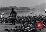 Image of honker ducks Oakland California USA, 1931, second 4 stock footage video 65675038349
