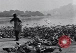 Image of honker ducks Oakland California USA, 1931, second 5 stock footage video 65675038349