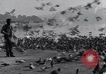Image of honker ducks Oakland California USA, 1931, second 10 stock footage video 65675038349