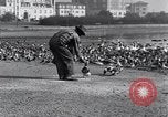 Image of honker ducks Oakland California USA, 1931, second 23 stock footage video 65675038349