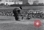 Image of honker ducks Oakland California USA, 1931, second 24 stock footage video 65675038349