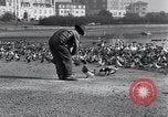 Image of honker ducks Oakland California USA, 1931, second 25 stock footage video 65675038349