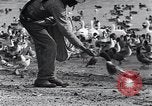 Image of honker ducks Oakland California USA, 1931, second 28 stock footage video 65675038349