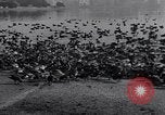 Image of honker ducks Oakland California USA, 1931, second 32 stock footage video 65675038349