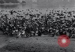 Image of honker ducks Oakland California USA, 1931, second 33 stock footage video 65675038349