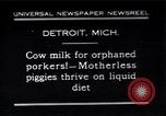 Image porkers Detroit Michigan USA, 1931, de la seconde 1 séquences d'archives historiques vidéo 65675038352