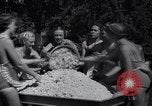 Standbild Kartoffelpüree Bend Oregon USA, 1937, aus Sekunde 19 historischem Filmmaterial Videoclip 65675038356