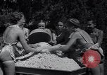 Standbild Kartoffelpüree Bend Oregon USA, 1937, aus Sekunde 20 historischem Filmmaterial Videoclip 65675038356