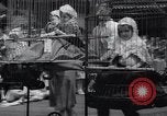 Image of annual baby parade Ocean City New Jersey USA, 1937, second 36 stock footage video 65675038357