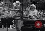 Image of annual baby parade Ocean City New Jersey USA, 1937, second 37 stock footage video 65675038357