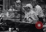 Image of annual baby parade Ocean City New Jersey USA, 1937, second 39 stock footage video 65675038357