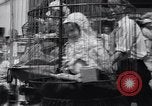 Image of annual baby parade Ocean City New Jersey USA, 1937, second 40 stock footage video 65675038357