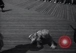 Image of annual baby parade Ocean City New Jersey USA, 1937, second 54 stock footage video 65675038357