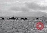 Standbild Lachs Astoria Oregon USA, 1937, aus Sekunde 11 historischem Filmmaterial Videoclip 65675038360